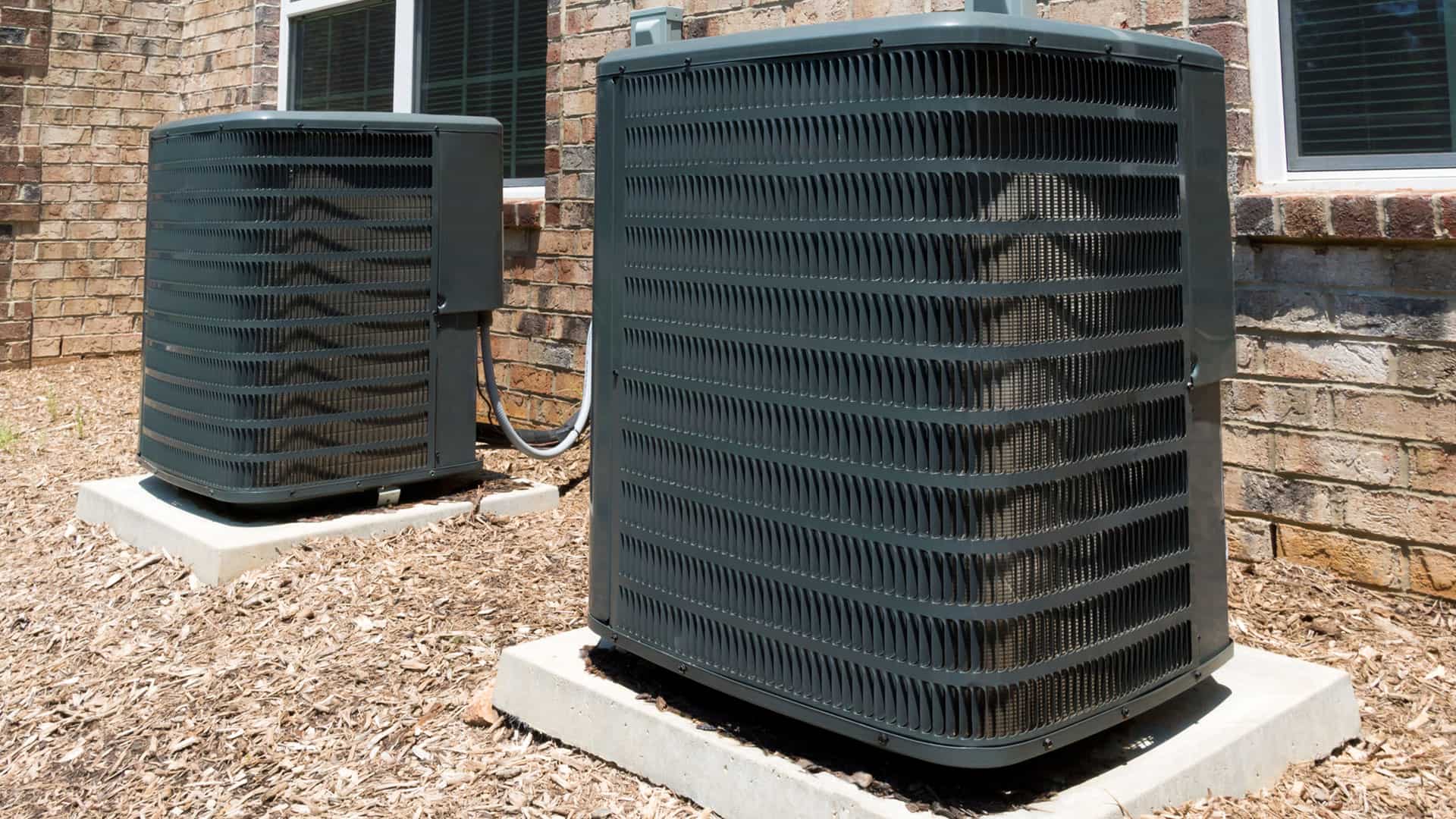 Eckcess Air Background